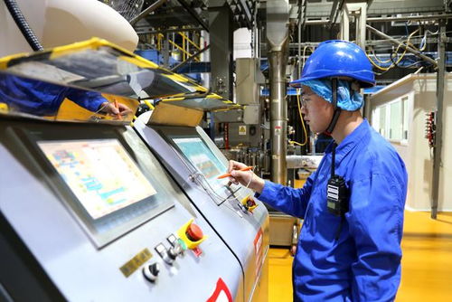 小萌寵激活億元新賽道 山東寵物產(chǎn)業(yè)發(fā)展一線見(jiàn)聞